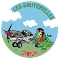 CLUB AEROMODELISME HORTE LAVALETTE ANGOULEME "LES SAUTERELLES"